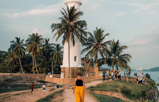 科倫坡及尼甘布出發斯里蘭卡南部觀光一日遊