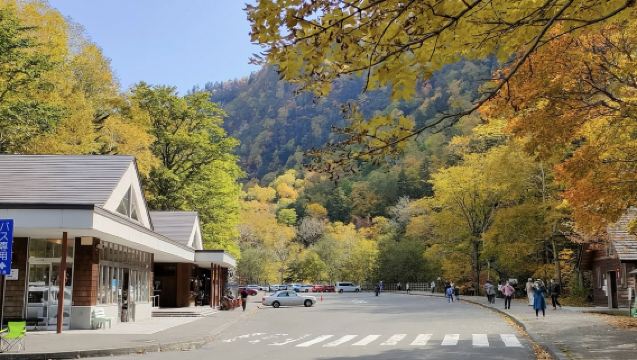 日本北海道札幌-青池-白鬚瀑布白金溫泉【中文專車 悅享旅途】
