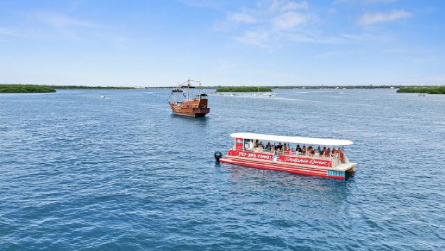 Dolphin Watching/Eco Cruise, John's Pass, Madeira Bch, FL