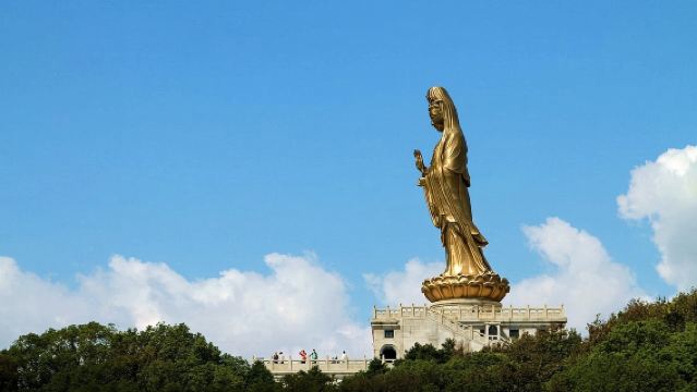 普陀山一日遊【觀音古洞，普濟寺，南海觀音，純玩天天發】