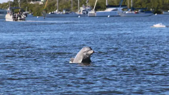 ล่องเรือชมพระอาทิตย์ตกพร้อมชมประภาคารซานิเบล