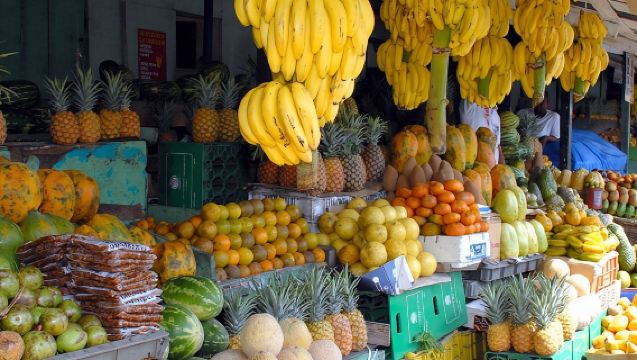 Safari Culturale di Mezza Giornata a Punta Cana con Pranzo e Bevande