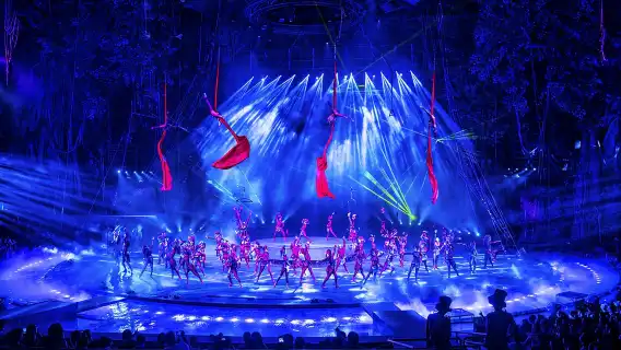 Guangzhou Chimelong International Circus and Chimelong Safari Park Day Tour (Private or Group Tour Available)