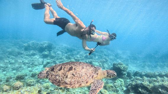 From Lombok: Full-Day Gili Gede, Rengit, & Layar Island Tour
