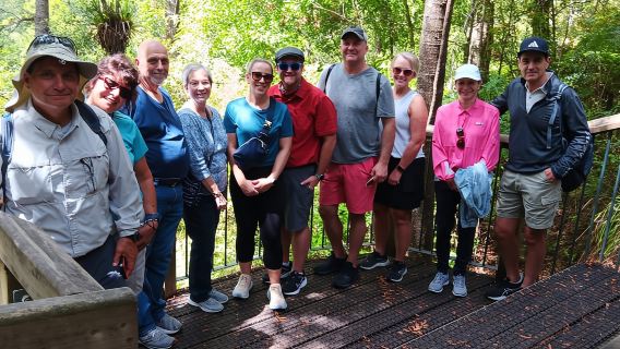 Waitangi: Kawiti Glow Worm-grot en boswandeling Opua Kauri