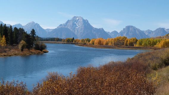 From Jackson: Half-Day Grand Teton National Park Tour