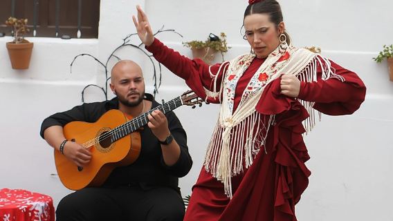 Intimate Flamenco: Exclusive Experience in Sevilla