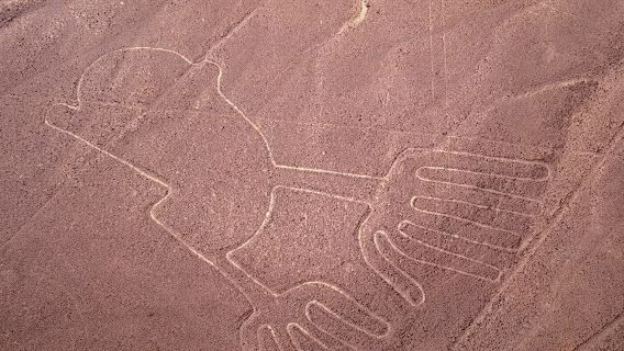 Nazca Lines Tour from Lima: Mysterious Geoglyphs Flight