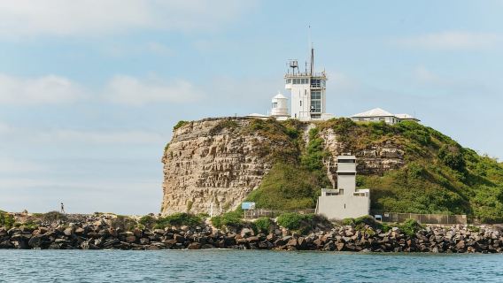 Tour costiero in barca di 2,5 ore da Newcastle