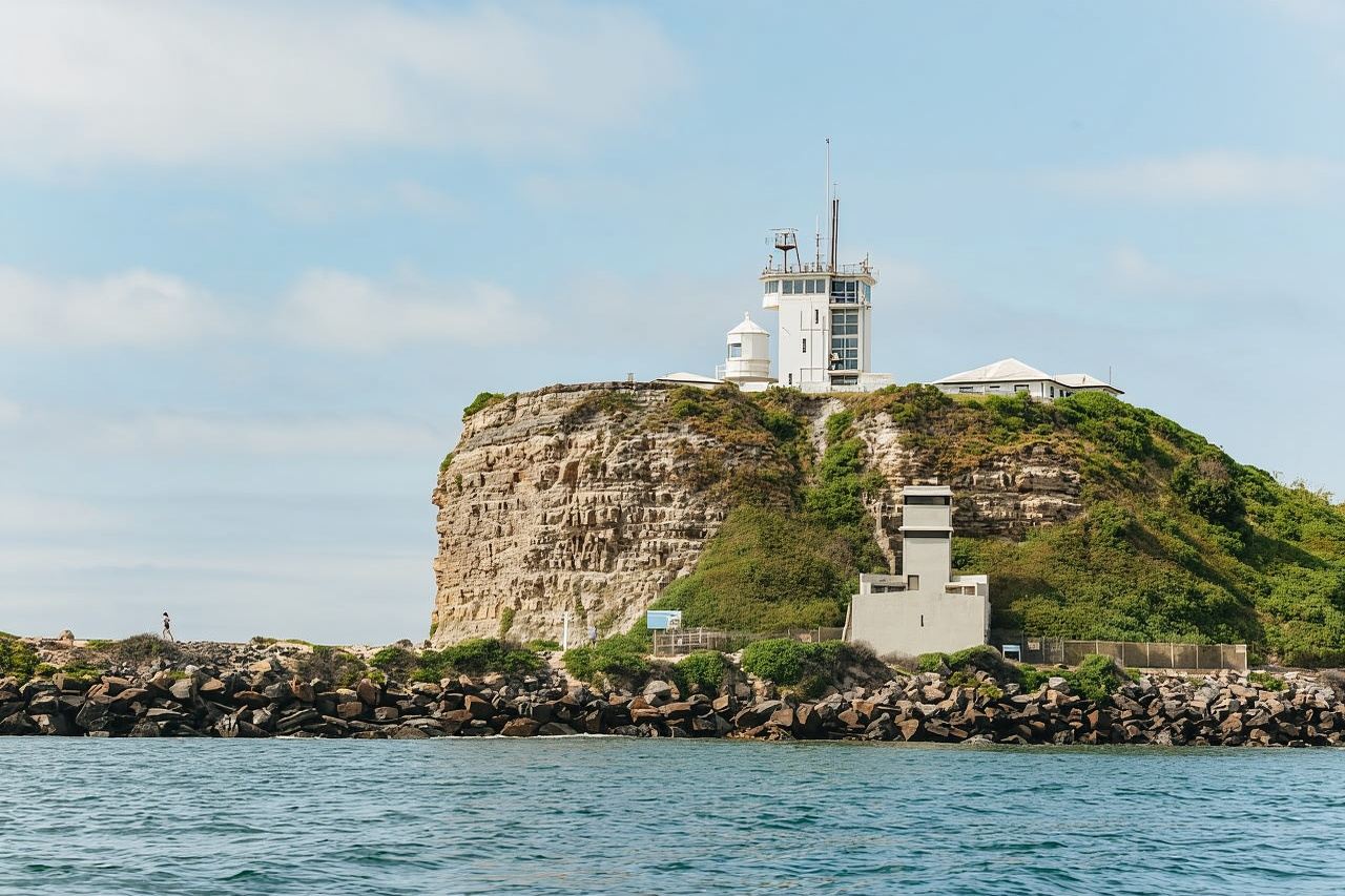 Coastal 2.5-hour Adventure Boat Tour from Newcastle