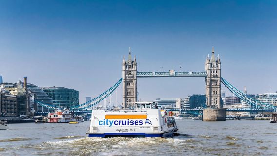 London: Fully Flexible River Thames Sightseeing Pass