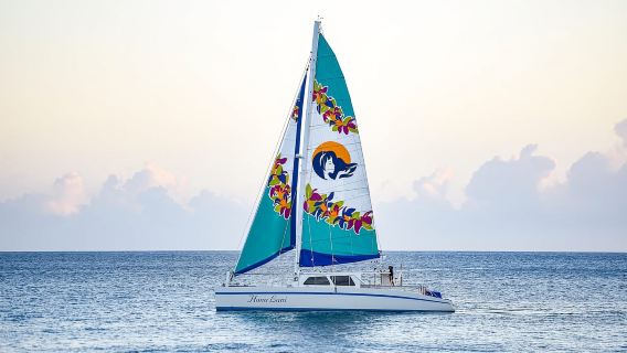 オアフ島：ワイキキのエコフレンドリーな朝のホエールウォッチングクルーズ