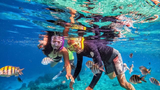 Family Fun-Snorkeling with Lunch Stop from Montego Bay