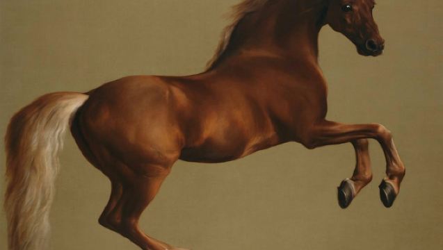 Vox City: National Gallery - Self-Guided Audio Tour