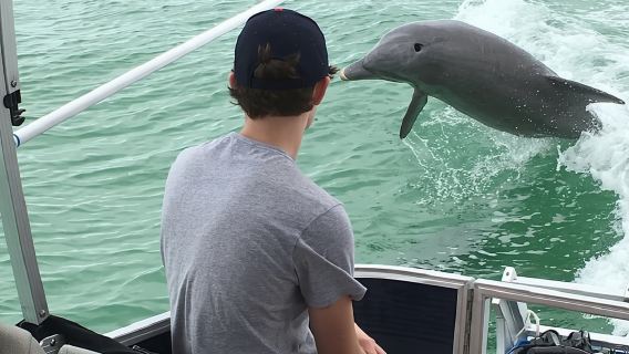 Small Group 2 Hour Dolphin Cruise with Snorkeling to Shell Key