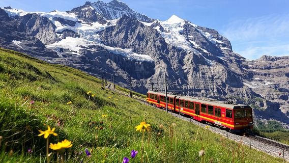 Jungfraujoch one-day tour