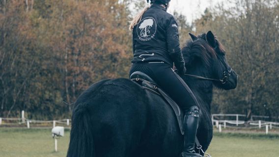 Tagesausflug zum Golden Circle und den heißen Quellen von Island (Transfers/Kratersee/Tomatenfarm inklusive)