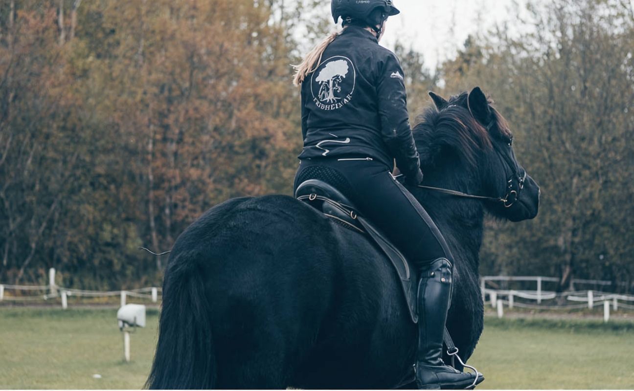 Iceland Golden Circle & Sky Lagoon Day Tour (Including Transfers/Crater Lake/Tomato Farm)