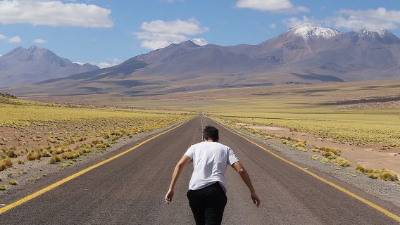 Piedras Rojas - Altiplanicas - Chaxa