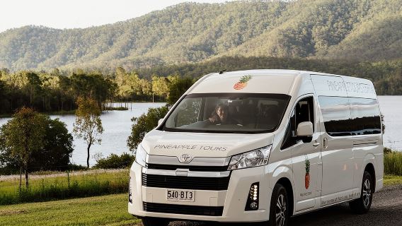 Autobús turístico - Montaña Tamborine