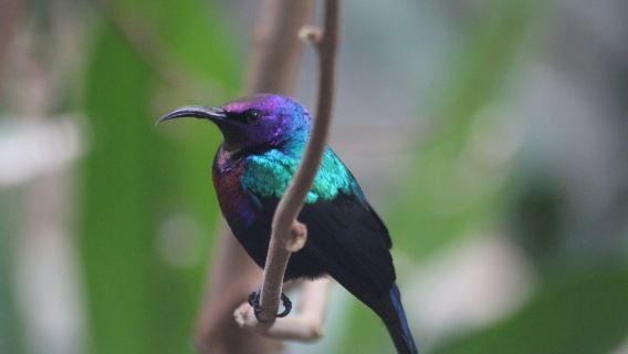 Warner Bros Harry Potter Studios London + King's Cross Station London, UK