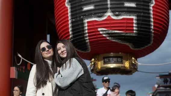 Tokyo Private Sightseeing Tour by Car- English speaking chauffeur