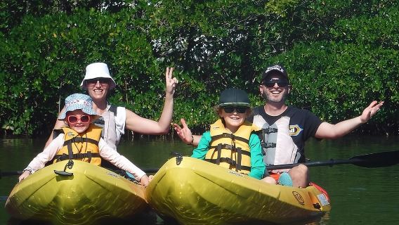 Guided Kayak Dolphin Eco Tour in Pelican Bay
