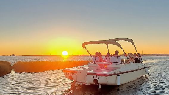 ทริปล่องเรือชมพระอาทิตย์ตกที่ Ria Formosa: ทัวร์ที่เป็นมิตรกับสิ่งแวดล้อมจากฟาโร