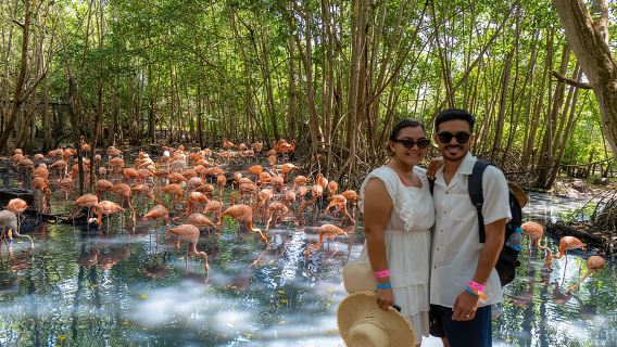 Excursión de día completo a Isla Barú - Aviario Nacional de Colombia y Playa Blanca