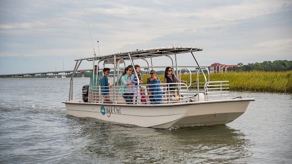 90 Minute Hilton Head Dolphin and Nature Cruise
