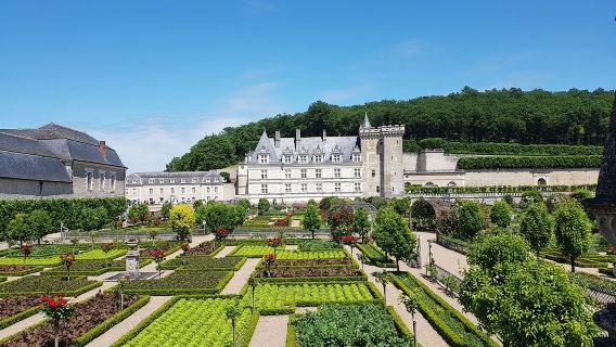 Villandry Castle, Azay-le-Rideau Castle and Loire Valley Half Day Tour in France|admission ticket included