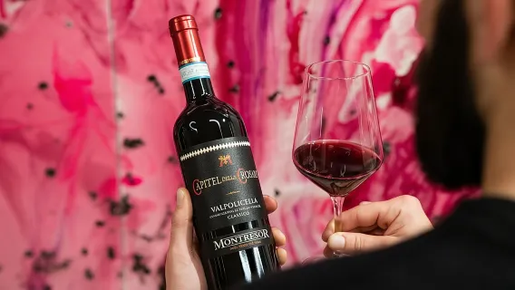 Experiência de Vinho Valpolicella na vinícola Montresor