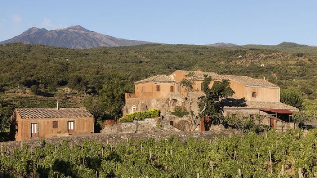 Private 6-stündige Tour zu drei Weingütern am Ätna mit Speisen- und Weinprobe