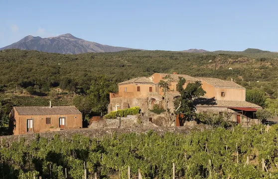 埃特納火山三家酒莊私人六小時之旅，含美食美酒品嚐