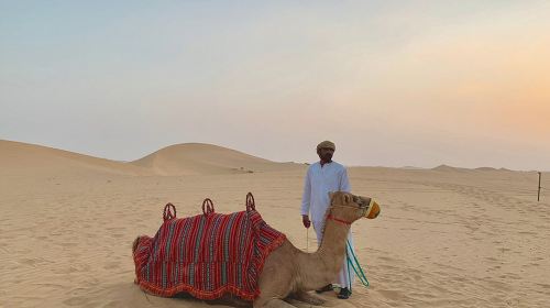 Abu Dhabi Sunset Dune Bashing at Rose Camp with Camel Ride Around Oasis Show + Transfer & Buffet Day Tours 4