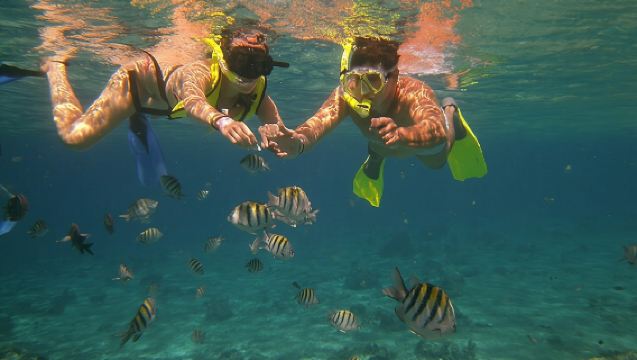 タマリンドまたはプラヤス・デル・ココ発 マーリン・デル・レイ・カタマラン・スノーケル・サンセット・クルーズ