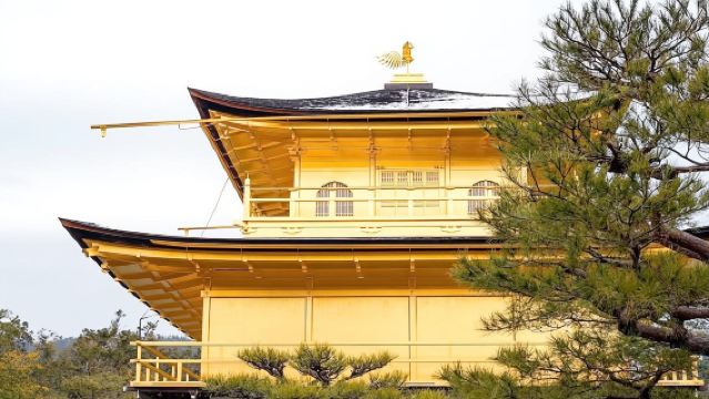 日本大阪-難波八坂神社-通天閣-心齋橋-道頓堀-經典景點+購物