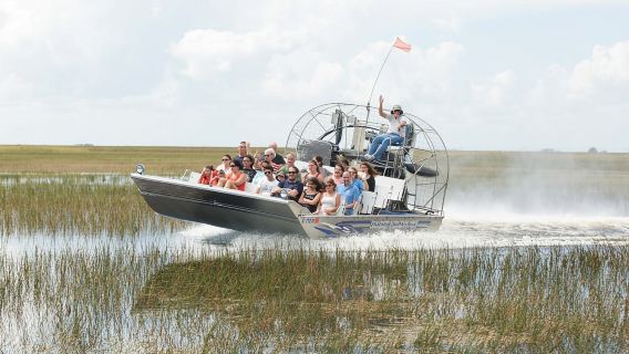 Airboat-Abenteuer und Tierbegegnungen in den Everglades in Florida