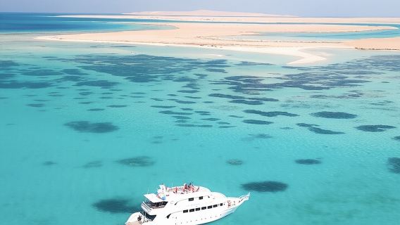 Crociera di lusso a Ras Mohammed e White Island con pranzo