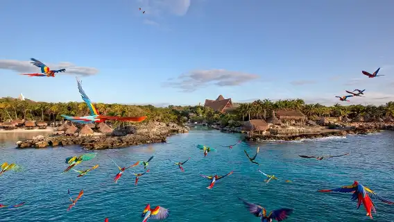 From Cancun: Xcaret Plus Park, the complete experience