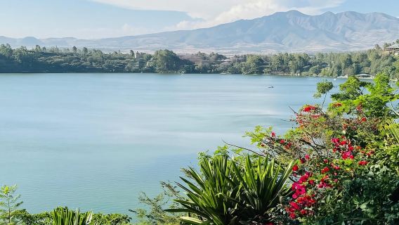 Однодневная поездка в Бишофту с озерами в вулканическом кратере