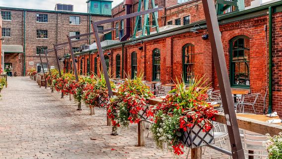 Toronto: Guided Night Tour with Tower Entry