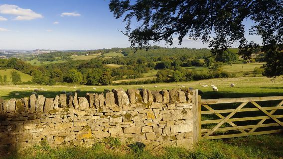 From London: Full-Day Cotswolds Small-Group Tour