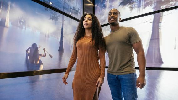 New Orleans: biglietto d'ingresso al ponte di osservazione Vue Orleans