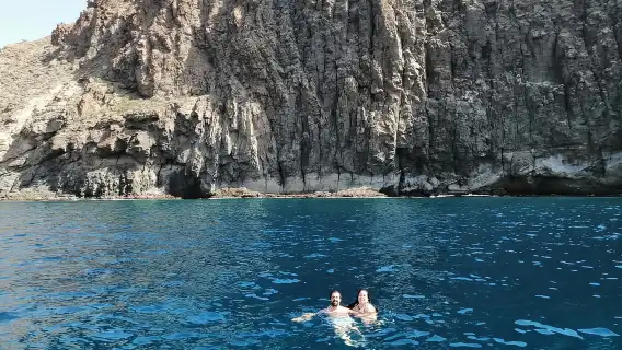 Las Galletas: Whale & Dolphin Tour with Local Skipper