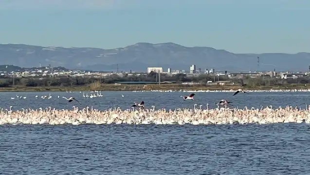 Valencia: The Albufera Lake Self-Guided E-Bike Tour