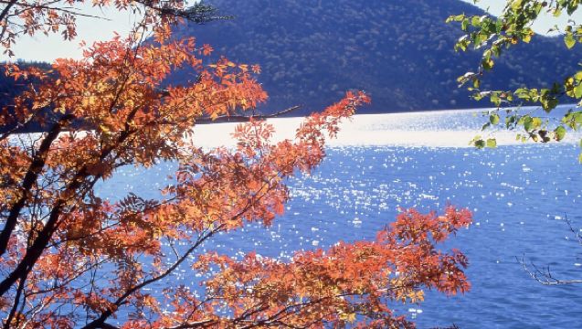 日本北海道登別地獄谷+登別熊牧場一日遊/行程可調-可訂製多日