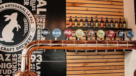 Full-Day Cuenca and Traditional Craft Beer Tasting Tour