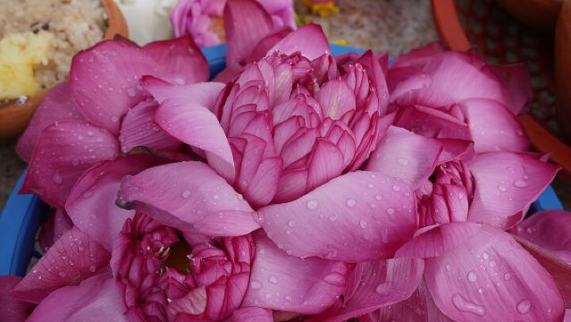Private City Day Tour in Anuradhapura