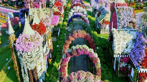 Miracle Garden and Global Village with Transfers - Ticket Day Tours 7